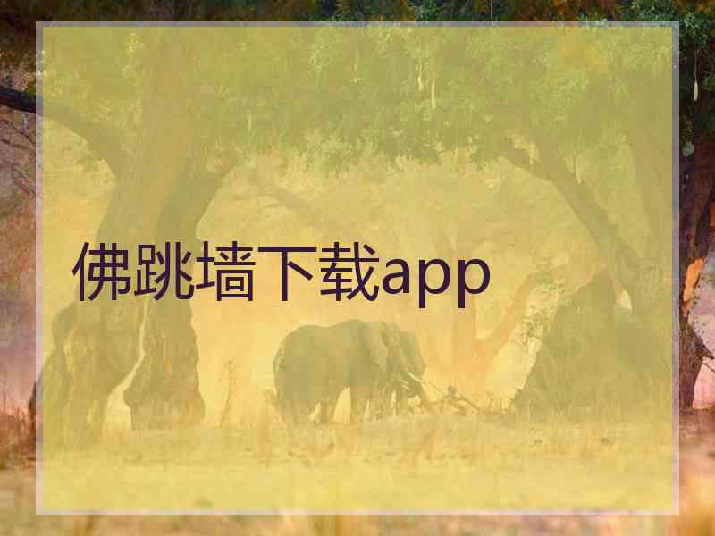 佛跳墙下载app