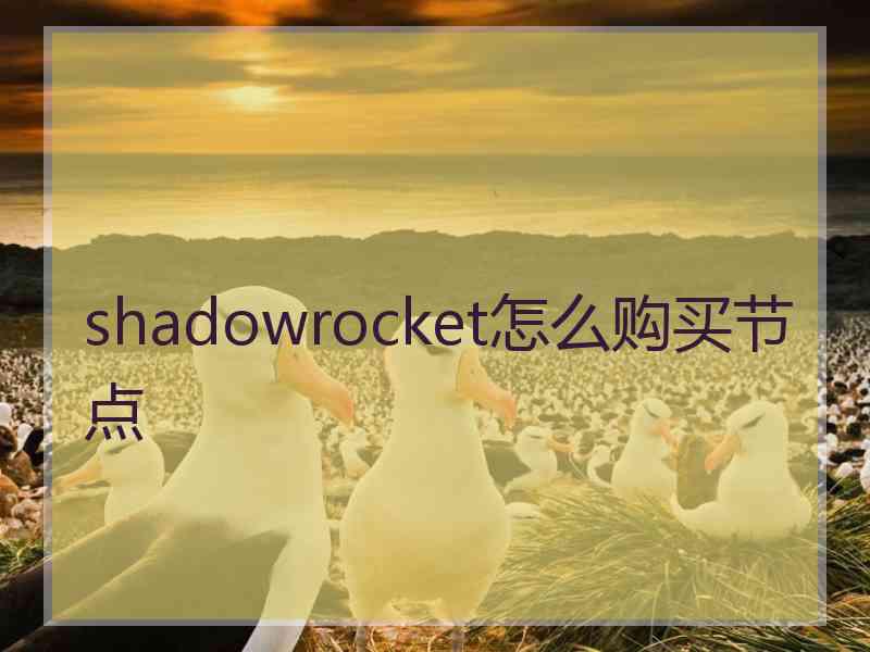shadowrocket怎么购买节点