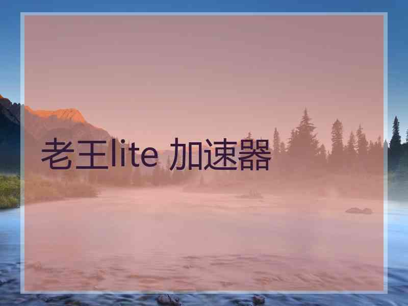 老王lite 加速器