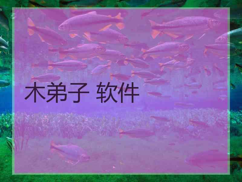 木弟子 软件