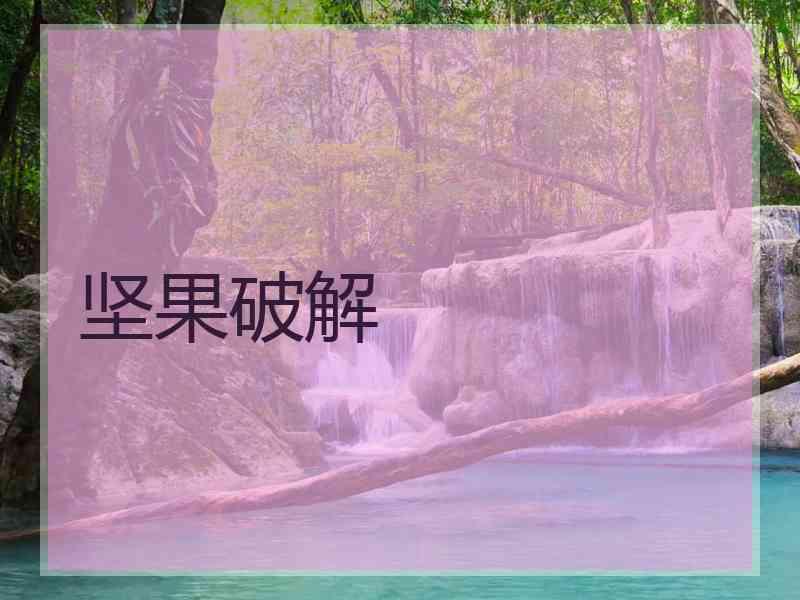坚果破解