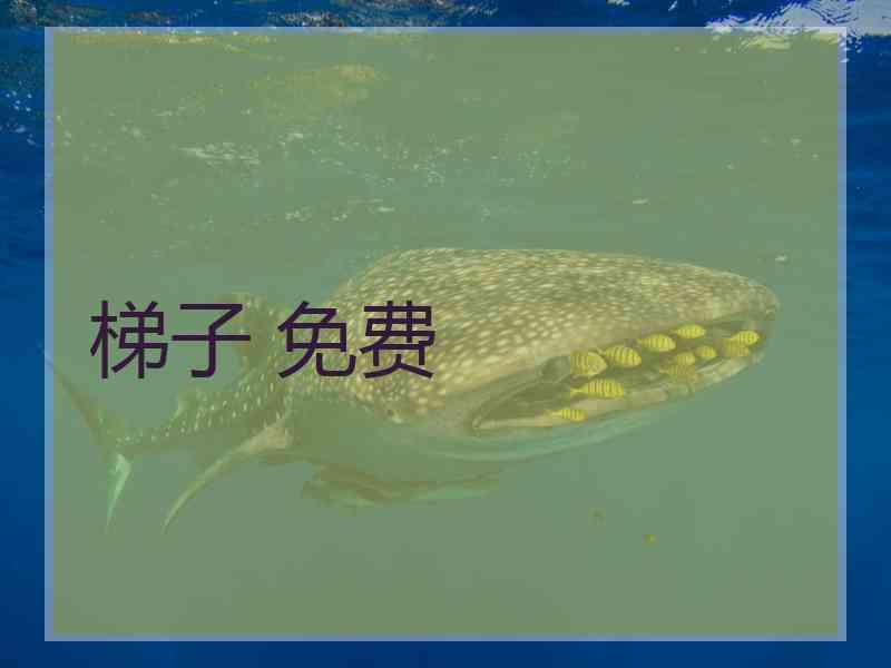 梯子 免费