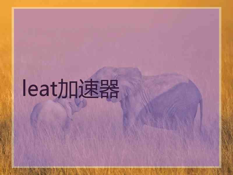 leat加速器