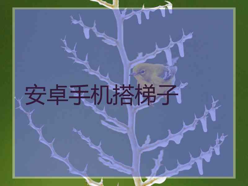 安卓手机搭梯子