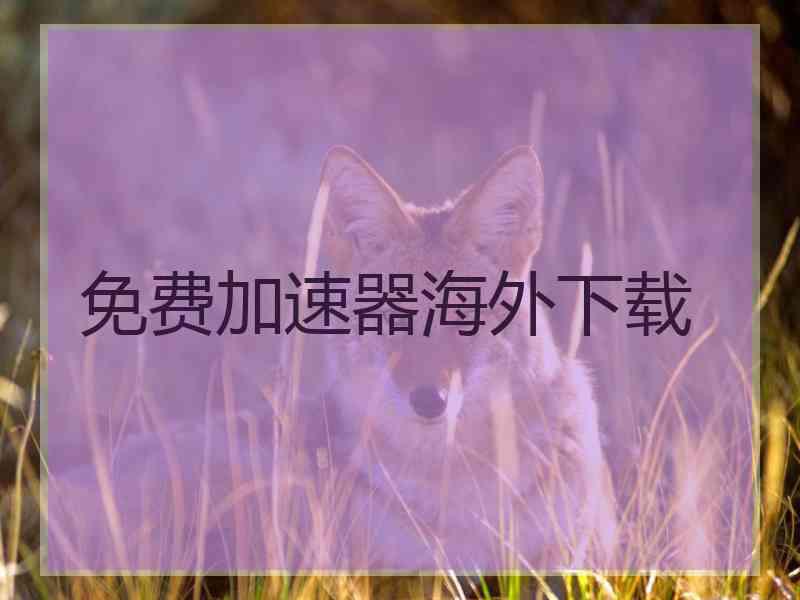 免费加速器海外下载