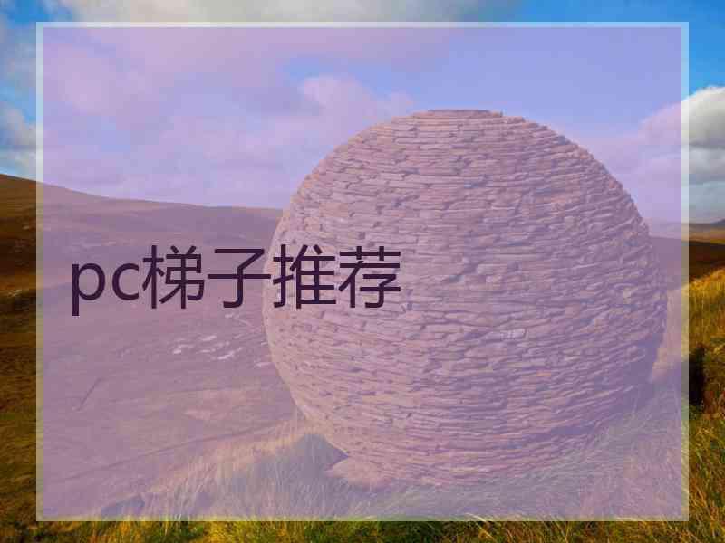 pc梯子推荐