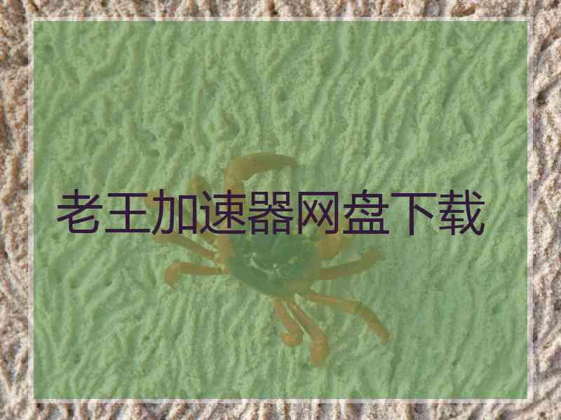 老王加速器网盘下载