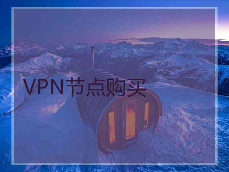 VPN节点购买