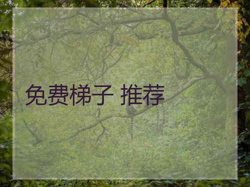 免费梯子 推荐