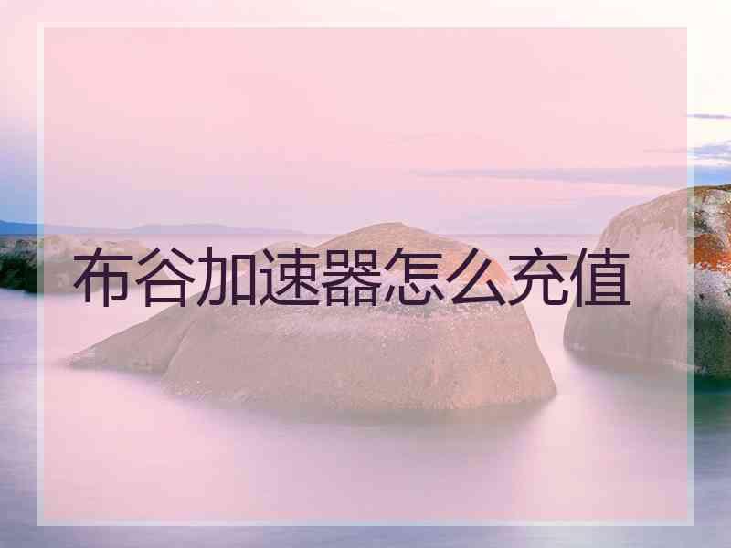 布谷加速器怎么充值