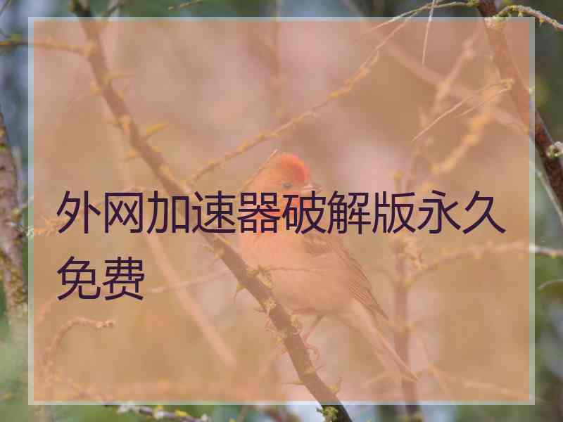 外网加速器破解版永久免费