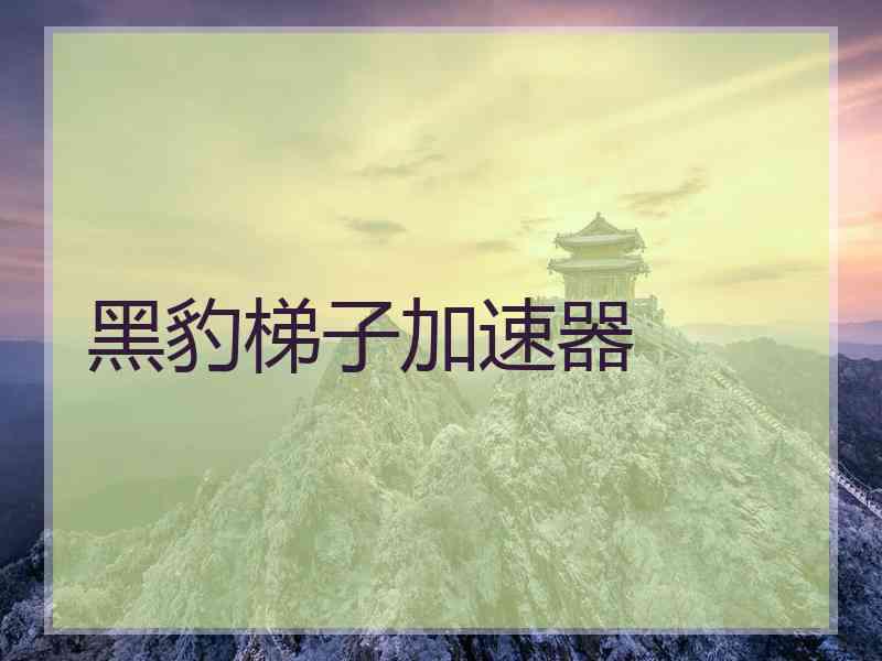 黑豹梯子加速器