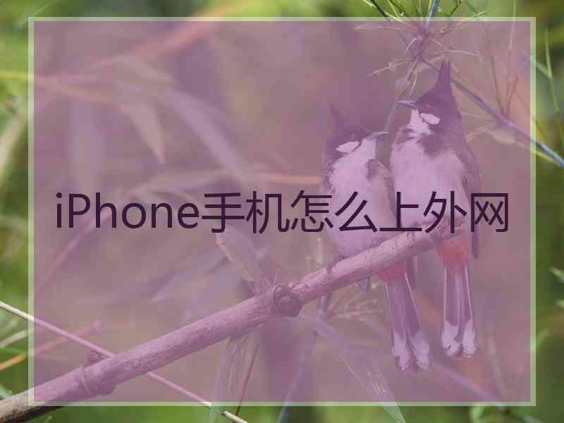 iPhone手机怎么上外网