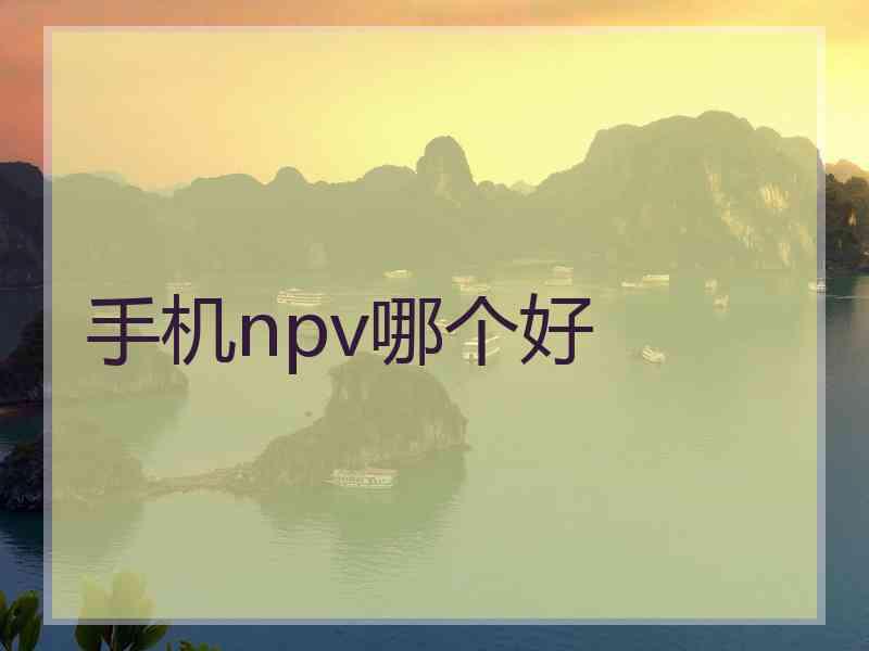 手机npv哪个好