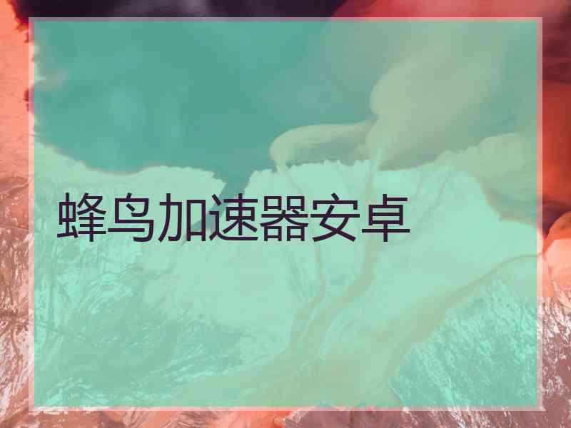 蜂鸟加速器安卓