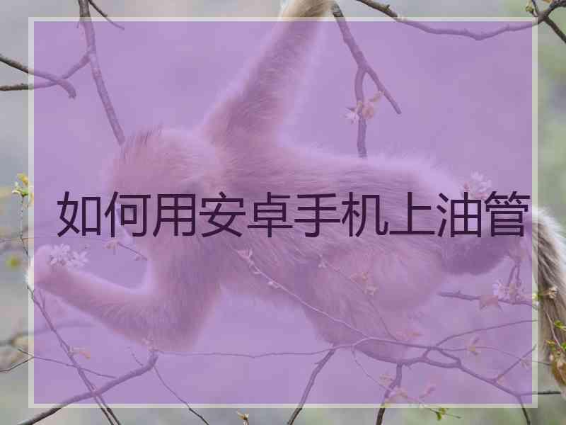 如何用安卓手机上油管