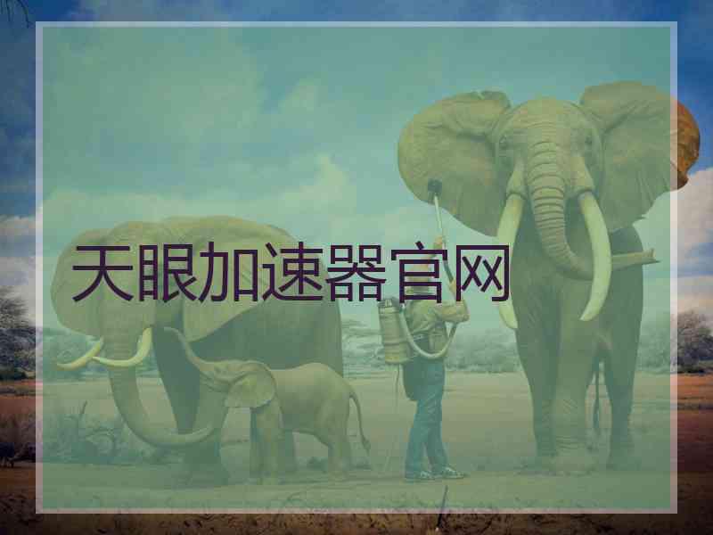 天眼加速器官网