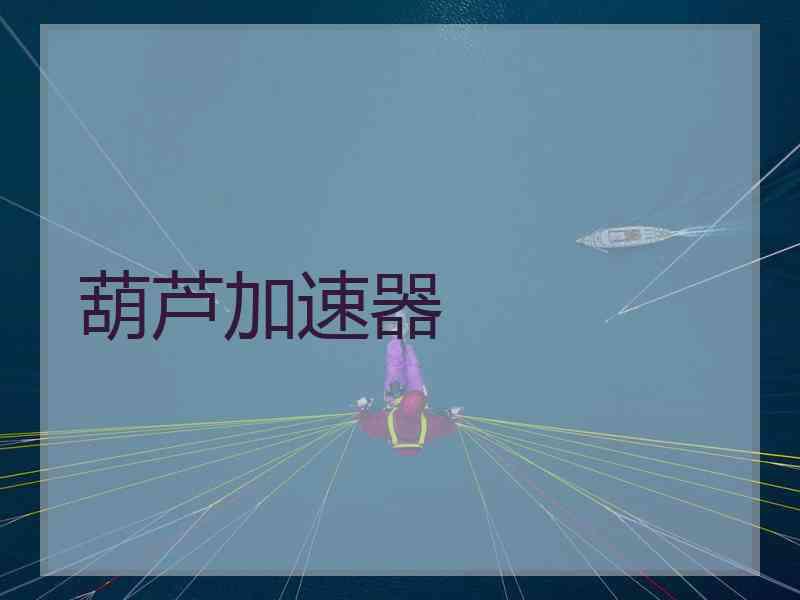 葫芦加速器