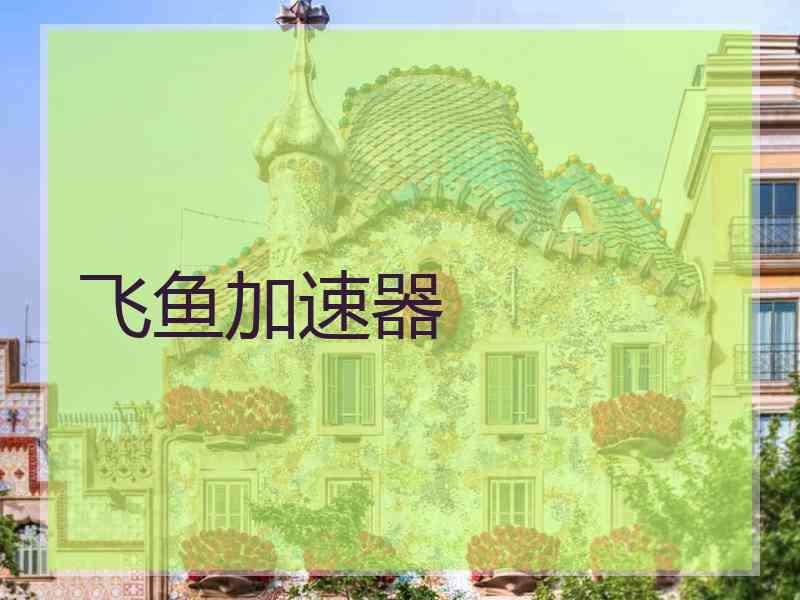 飞鱼加速器