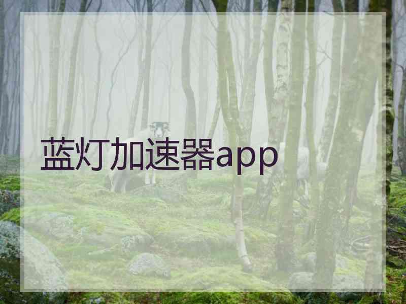 蓝灯加速器app