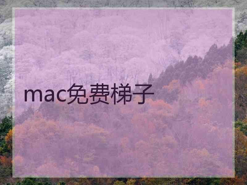 mac免费梯子
