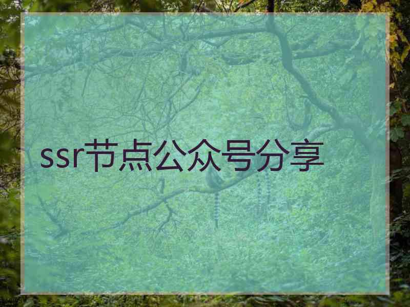 ssr节点公众号分享