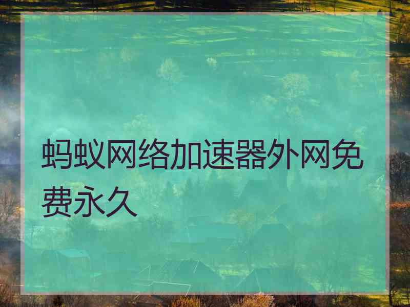 蚂蚁网络加速器外网免费永久