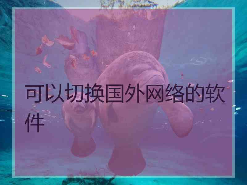 可以切换国外网络的软件
