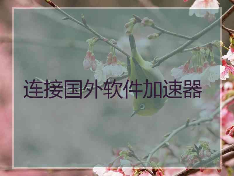 连接国外软件加速器
