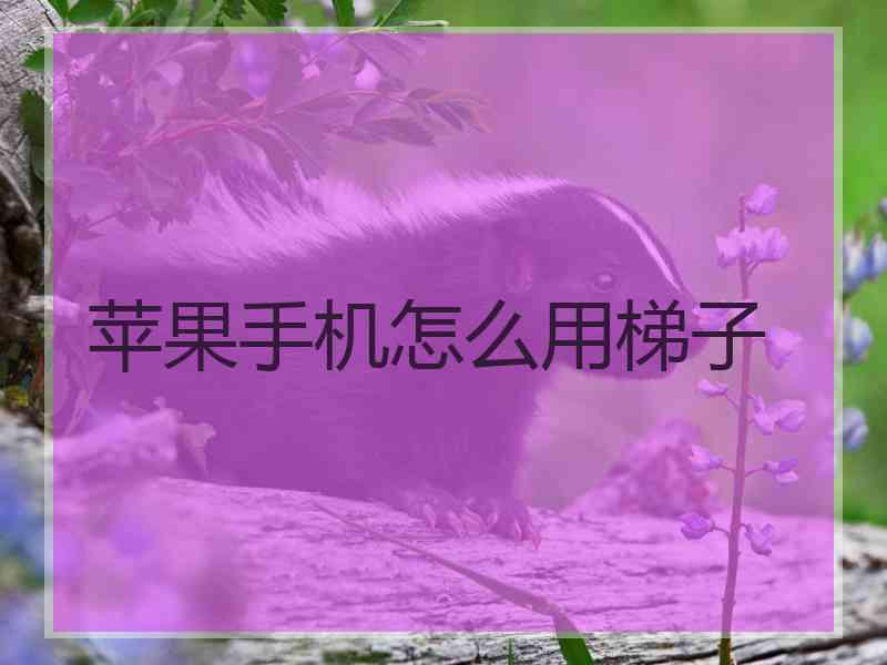 苹果手机怎么用梯子