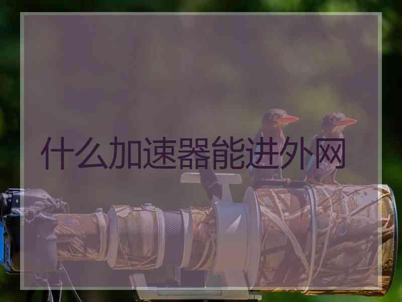 什么加速器能进外网