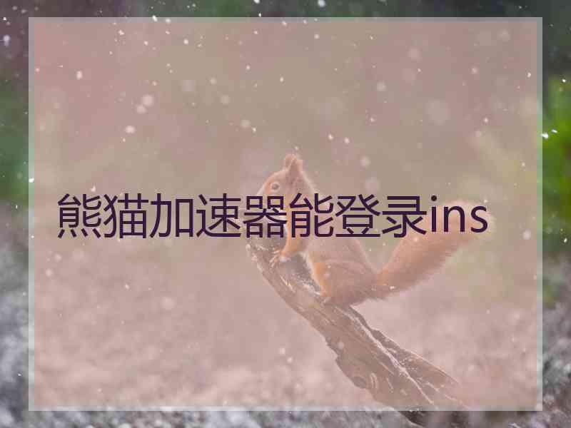 熊猫加速器能登录ins