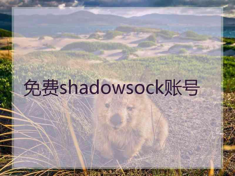 免费shadowsock账号