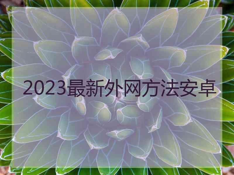 2023最新外网方法安卓