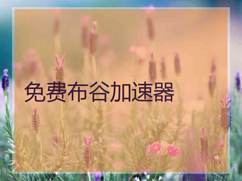 免费布谷加速器