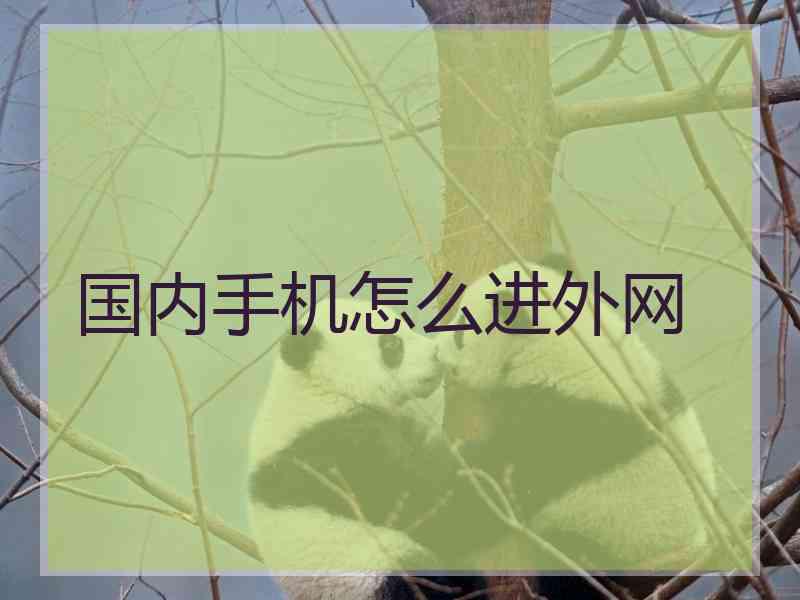 国内手机怎么进外网