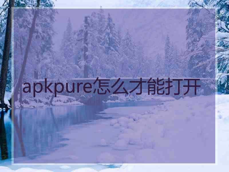 apkpure怎么才能打开