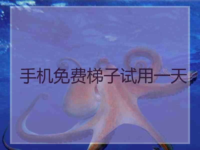 手机免费梯子试用一天
