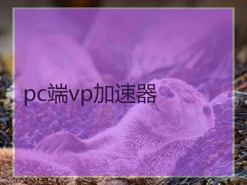 pc端vp加速器