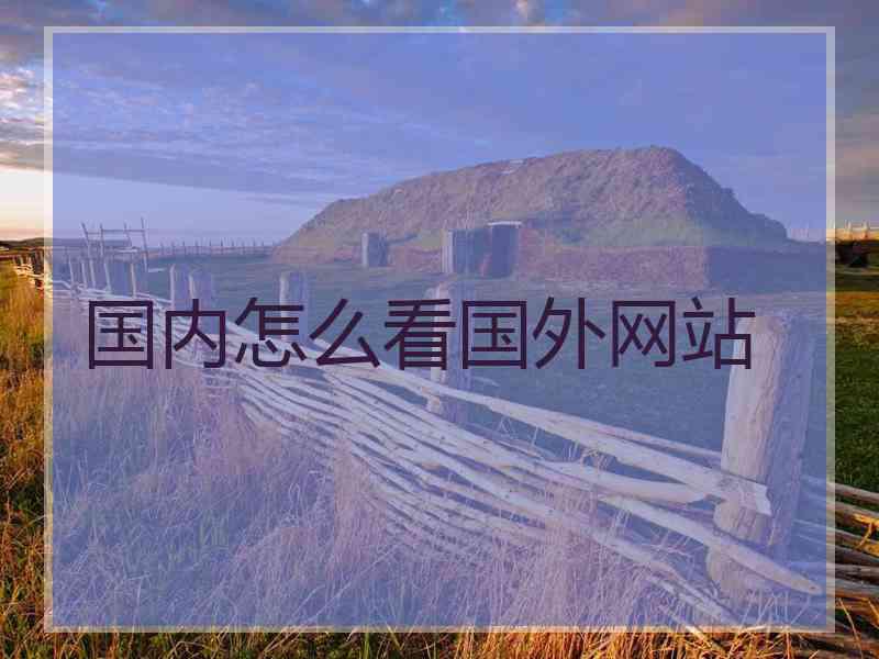 国内怎么看国外网站