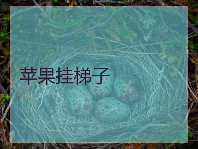 苹果挂梯子