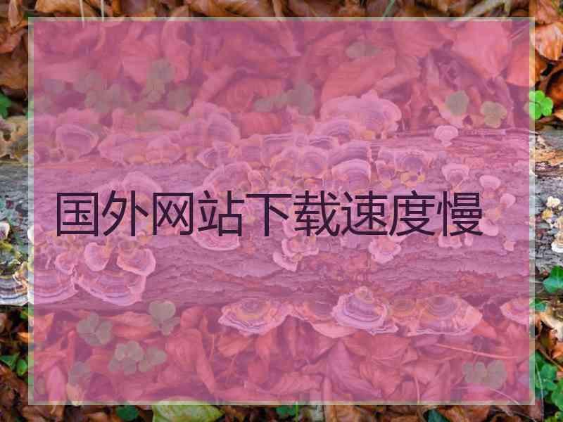 国外网站下载速度慢