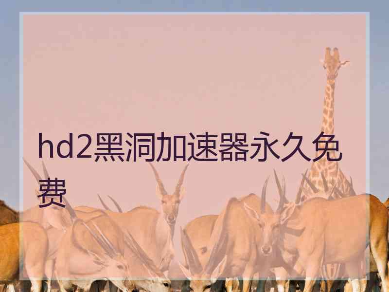 hd2黑洞加速器永久免费