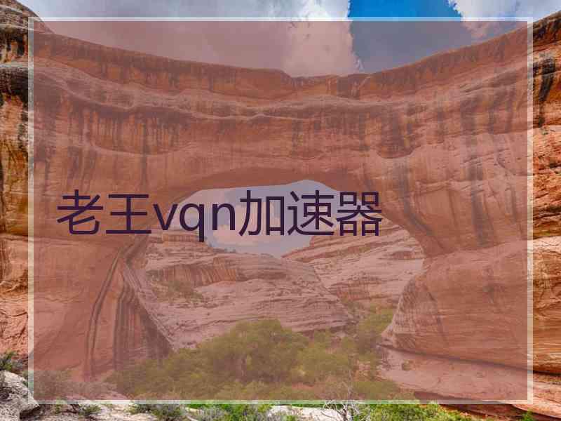 老王vqn加速器