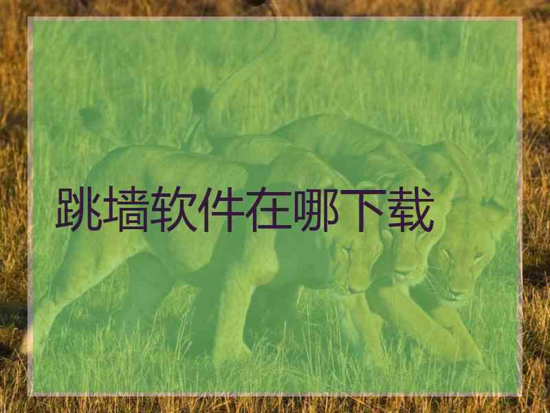 跳墙软件在哪下载