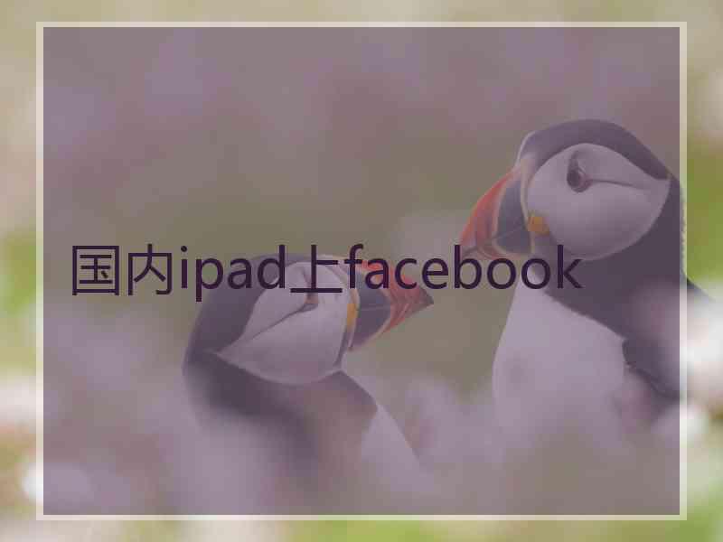 国内ipad上facebook