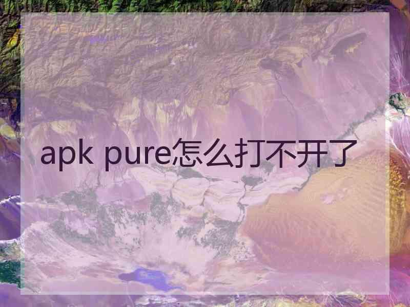apk pure怎么打不开了