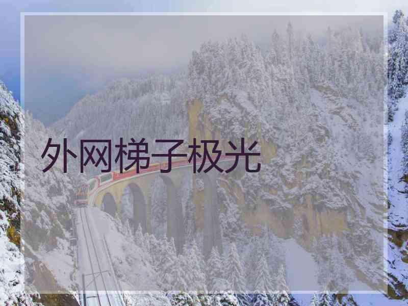 外网梯子极光