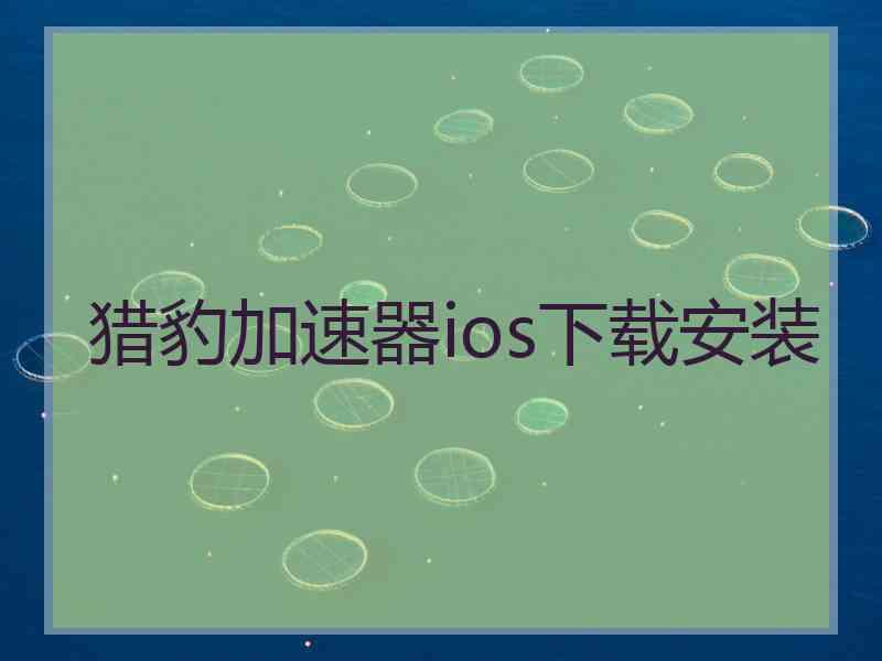 猎豹加速器ios下载安装