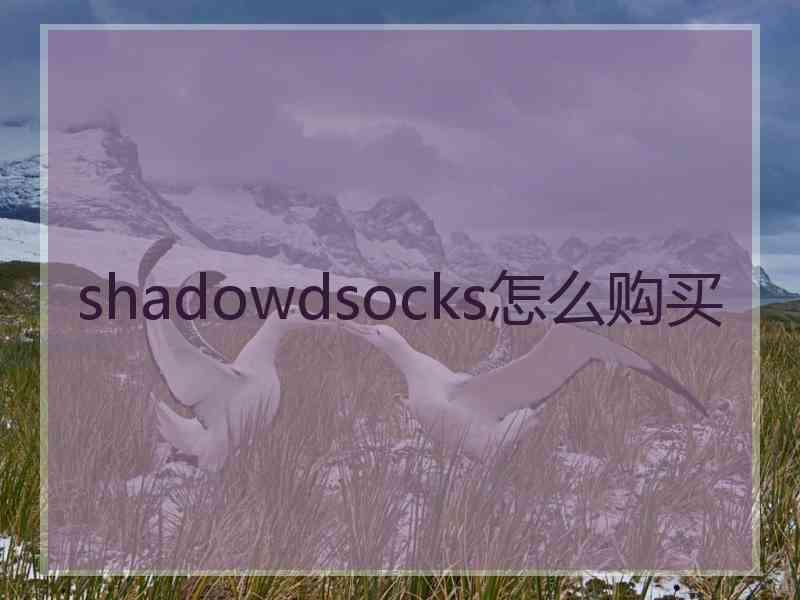 shadowdsocks怎么购买